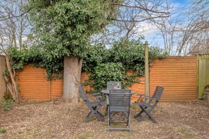 Photo 24- click for photo gallery